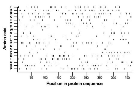 amino acid map