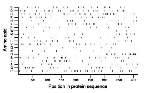 amino acid map