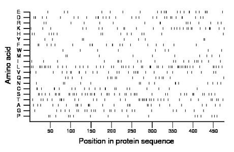 amino acid map