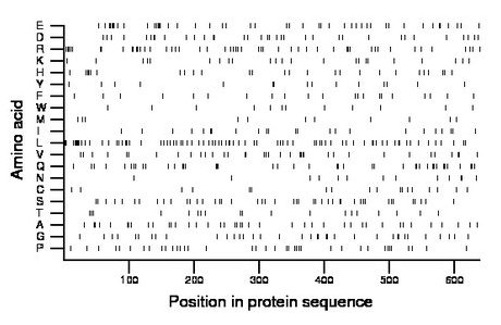 amino acid map