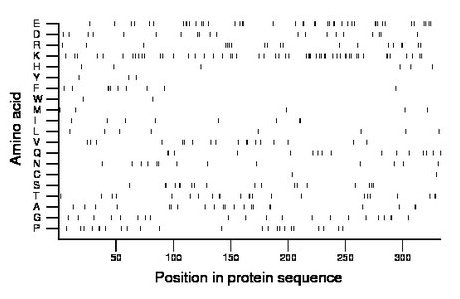 amino acid map