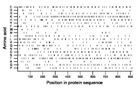 amino acid map