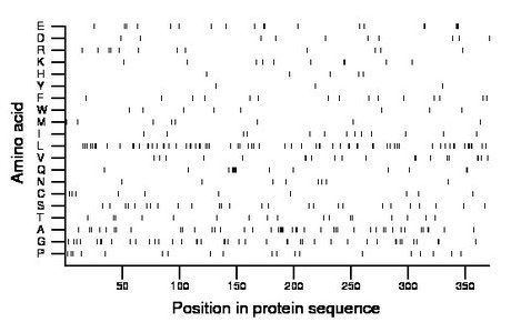 amino acid map