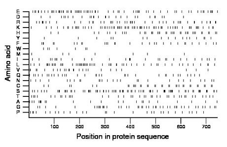 amino acid map