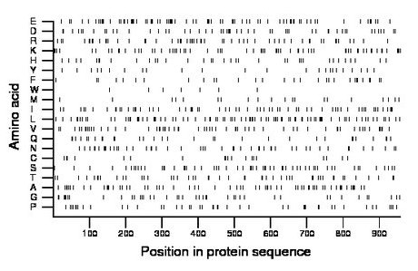 amino acid map