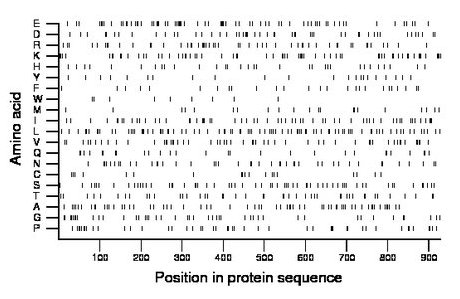 amino acid map