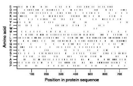 amino acid map