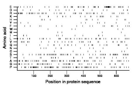 amino acid map