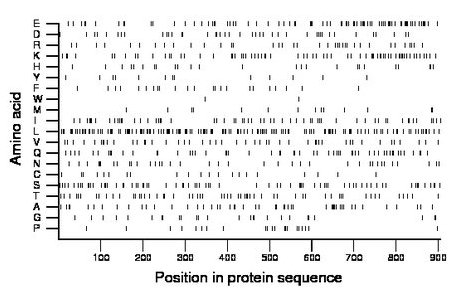 amino acid map