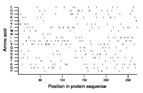 amino acid map