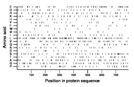 amino acid map