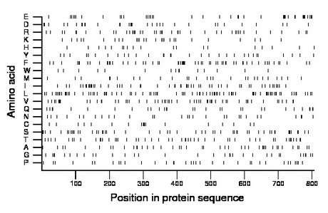 amino acid map