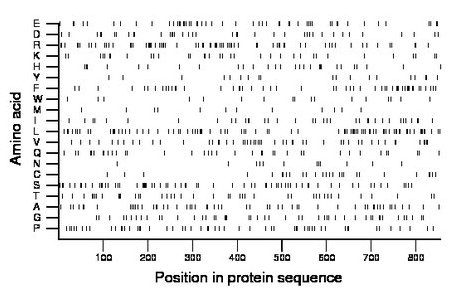 amino acid map