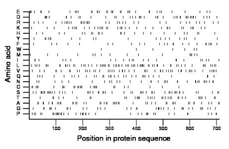 amino acid map