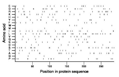 amino acid map