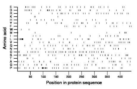 amino acid map