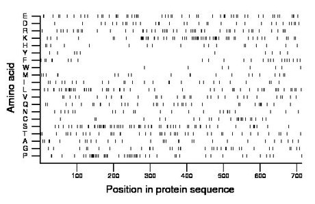 amino acid map