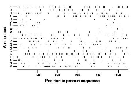 amino acid map