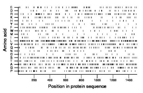 amino acid map