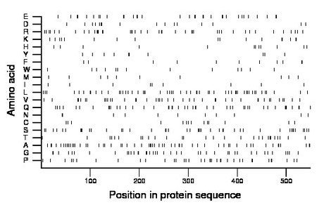 amino acid map