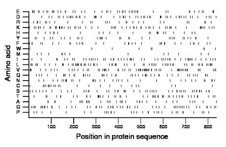 amino acid map