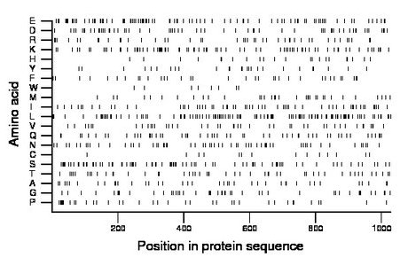 amino acid map