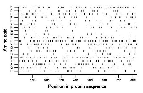 amino acid map