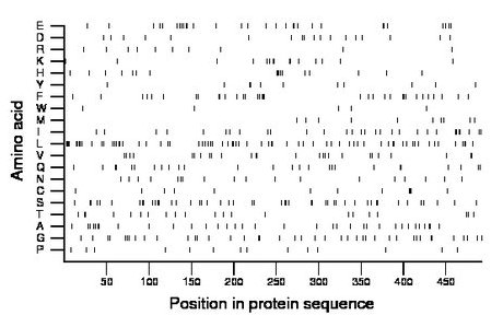 amino acid map