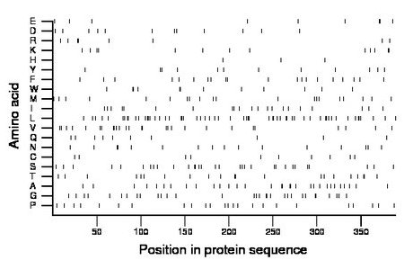 amino acid map