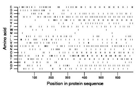 amino acid map