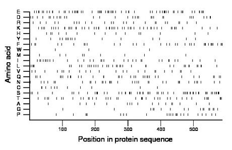 amino acid map