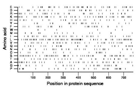 amino acid map