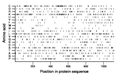 amino acid map