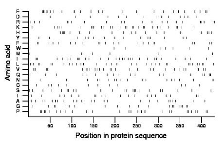 amino acid map