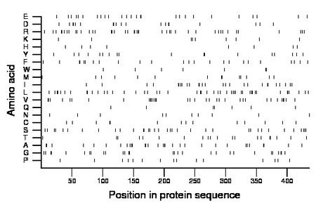 amino acid map