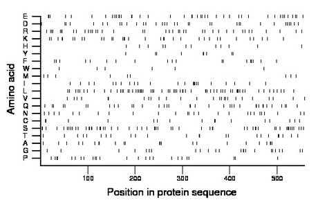 amino acid map