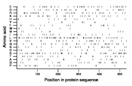 amino acid map