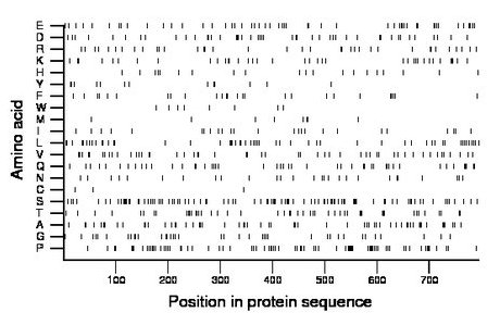 amino acid map