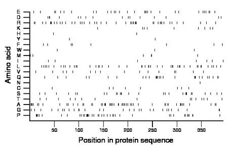 amino acid map