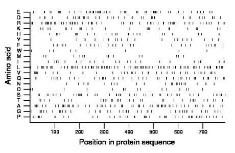 amino acid map