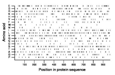 amino acid map