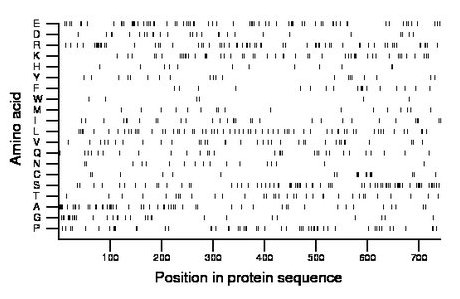 amino acid map