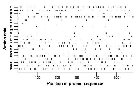 amino acid map