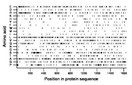 amino acid map