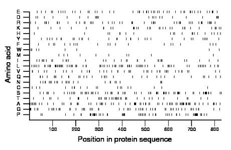 amino acid map