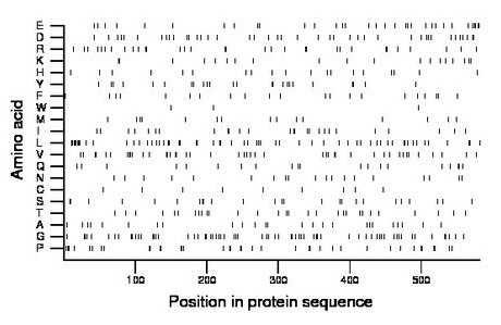 amino acid map