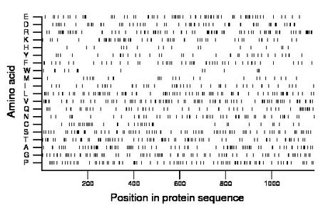 amino acid map