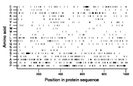 amino acid map