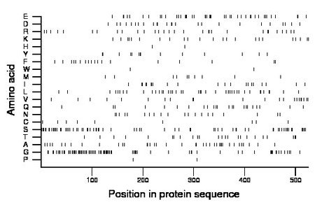 amino acid map