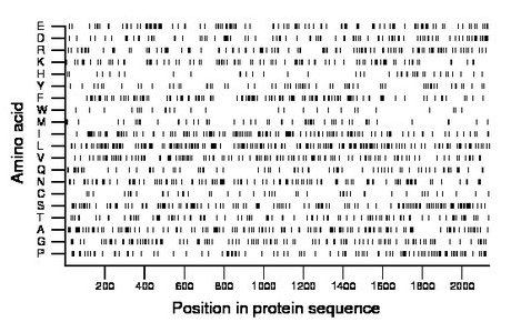 amino acid map